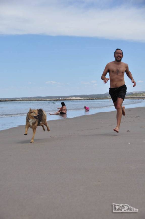 Correndo na praia e se divertindo com um perro argentino em Las Grutas, na Argentina